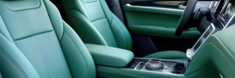 Interior Coating and Protection